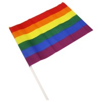 PRIDE - LGBT FLAG LARGE PENNANT