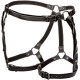 CALEXOTICS - EUPHORIA RIDING THIGH HARNESS