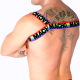 Бельо за мъже MACHO - ROMAN HARNESS PRIDE S/M