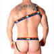 Бельо за мъже MACHO - ROMAN HARNESS PRIDE S/M