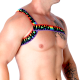 Бельо за мъже MACHO - ROMAN HARNESS PRIDE S/M