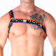 Бельо за мъже MACHO - ROMAN HARNESS PRIDE S/M