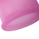 NINA CUP MENSTRUAL CUP SIZE PURPLE L 6 + 1 FREE